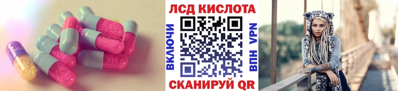 kraken зеркало  где продают наркотики  дарк нет клад  Лсд 25 экстази ecstasy  Бологое 
