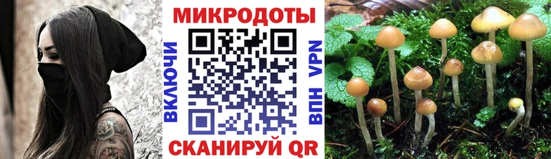как найти закладки  Бологое  Псилоцибиновые грибы ЛСД 